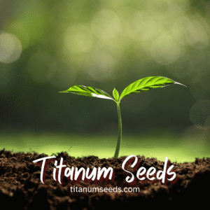 How to Grow Amorphophallus from seeds at Home