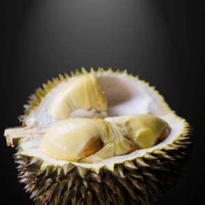 Durio zibethinus seeds