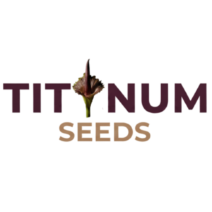 Your premier source for genuine Amorphophallus & rare aroid seeds.